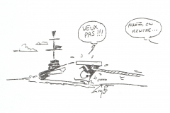 salamandre_27
